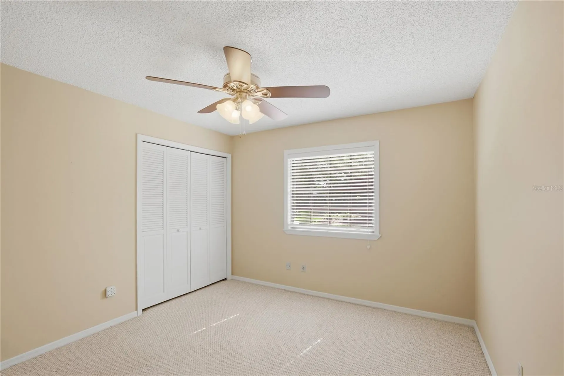 544 Black Ironwood Drive Deland FL 32724