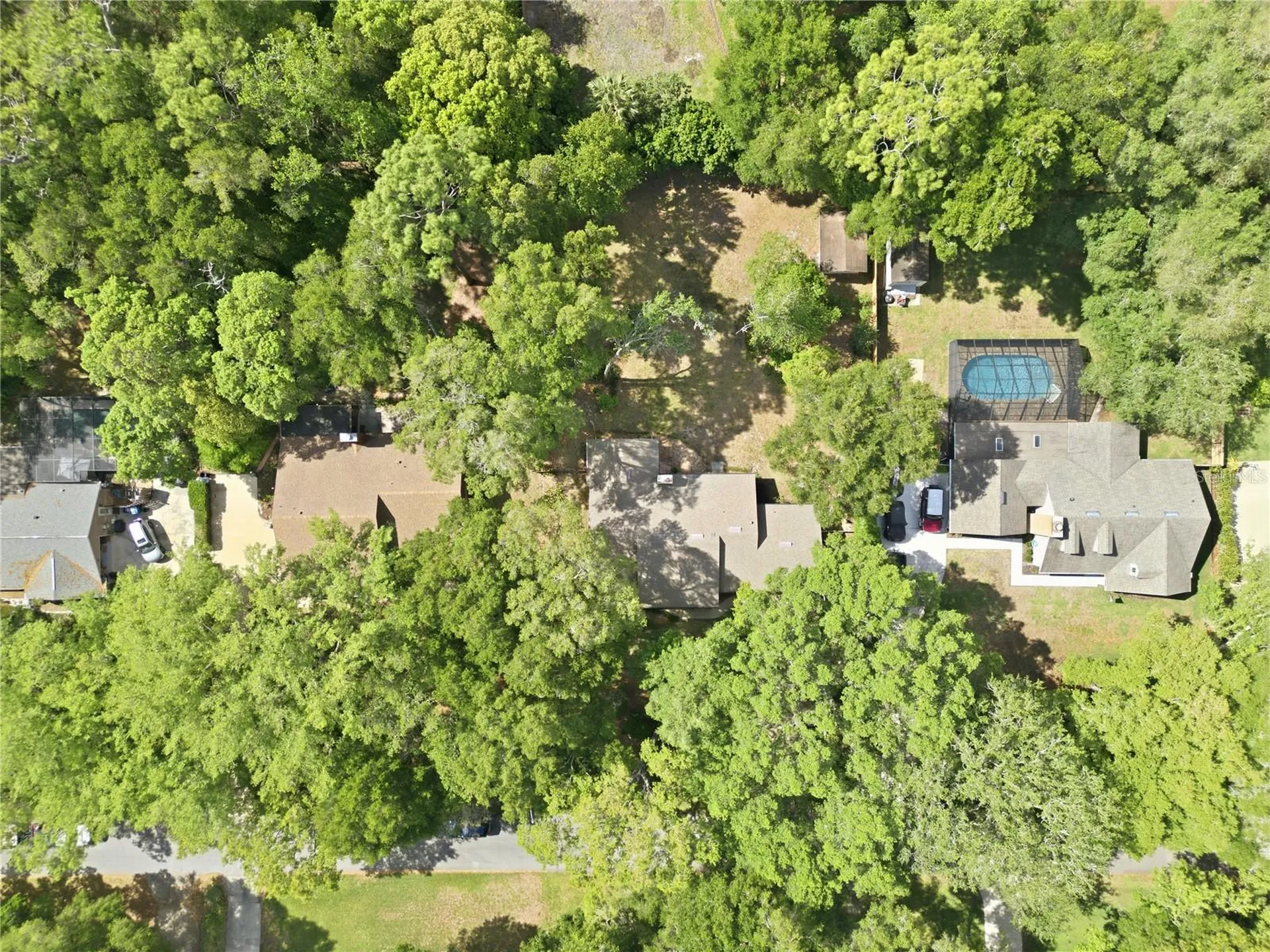 544 Black Ironwood Drive Deland FL 32724