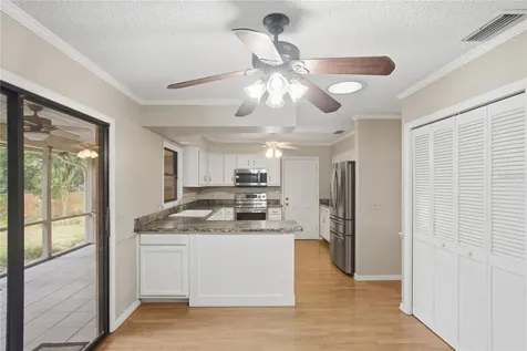 544 Black Ironwood Drive Deland FL 32724