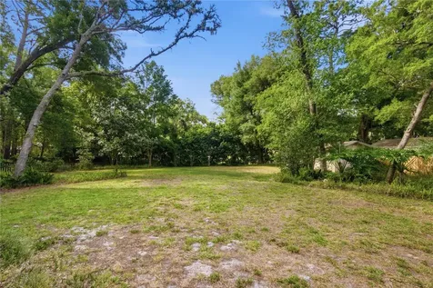 544 Black Ironwood Drive Deland FL 32724