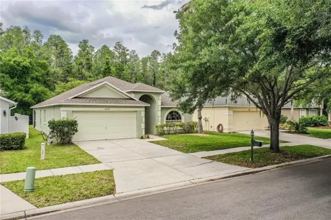 10458 Lucaya Drive Tampa FL 33647