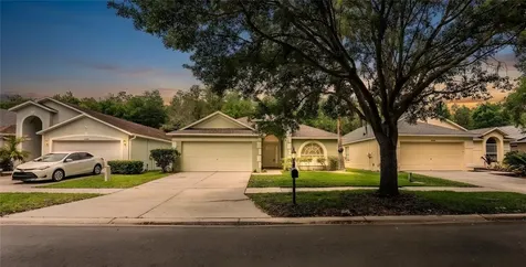 10458 Lucaya Drive Tampa FL 33647