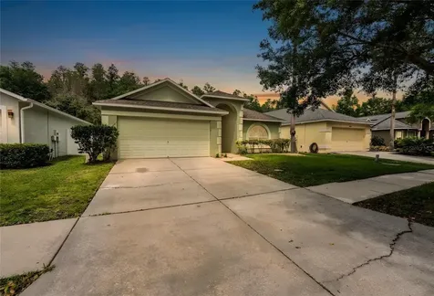 10458 Lucaya Drive Tampa FL 33647