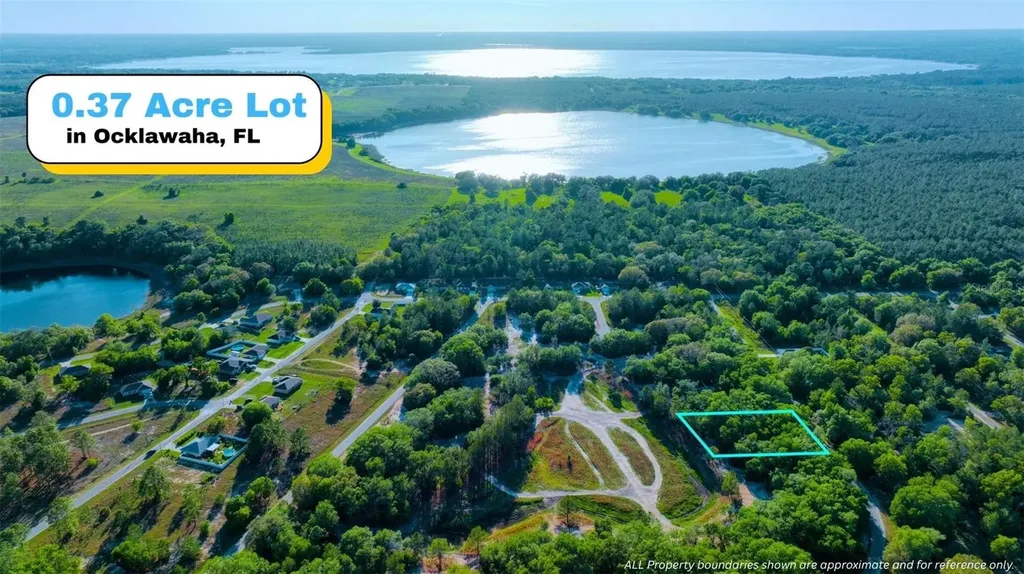 Tbd Malauka Radial Ocklawaha FL 32179