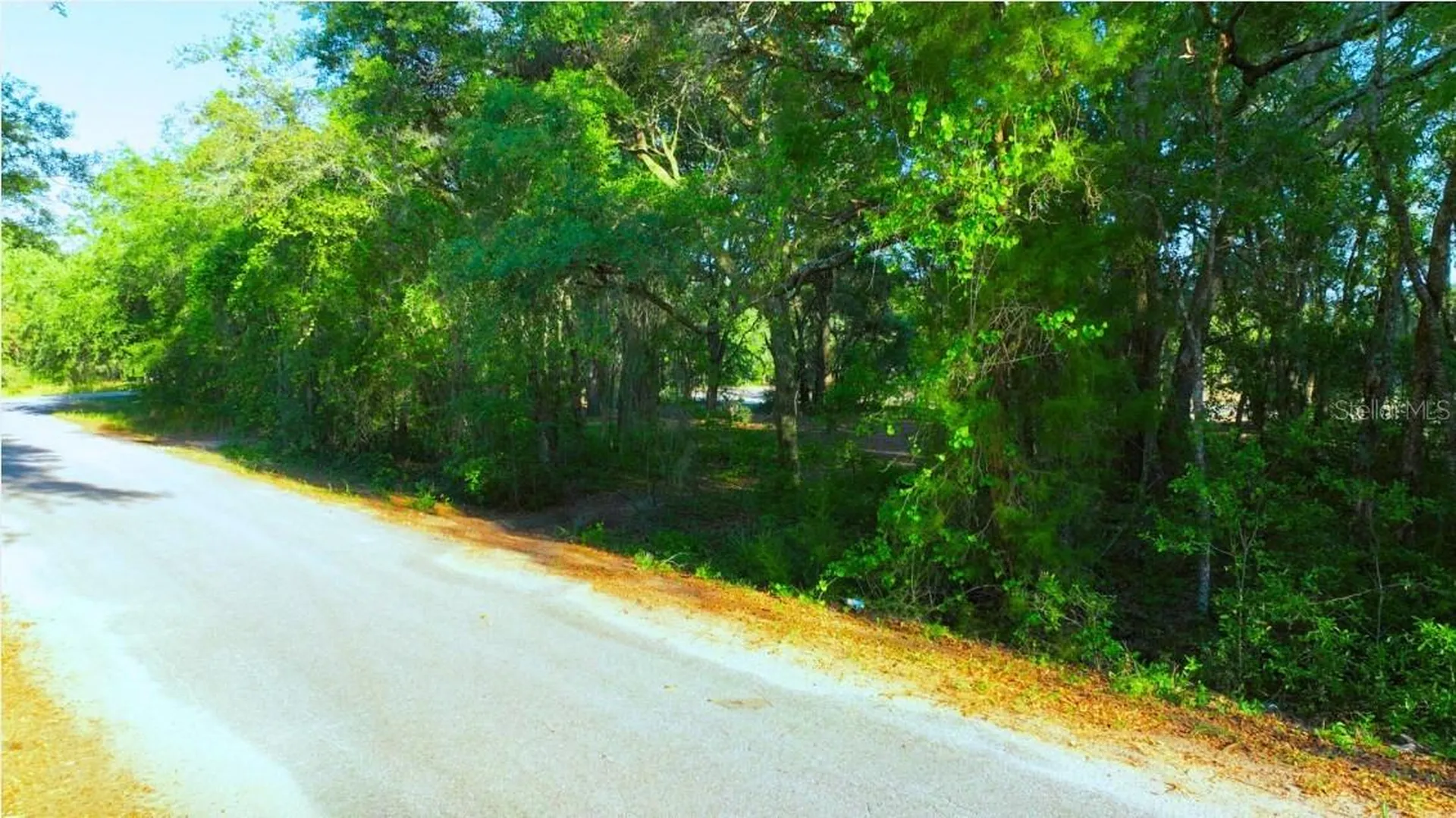 Tbd Malauka Radial Ocklawaha FL 32179