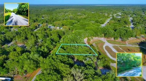 Tbd Malauka Radial Ocklawaha FL 32179