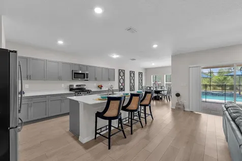 12952 Wellspring Drive Lithia FL 33547