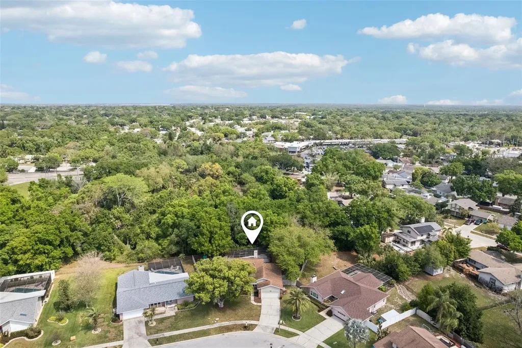 3109 Lake Valencia Ln E Palm Harbor FL 34684