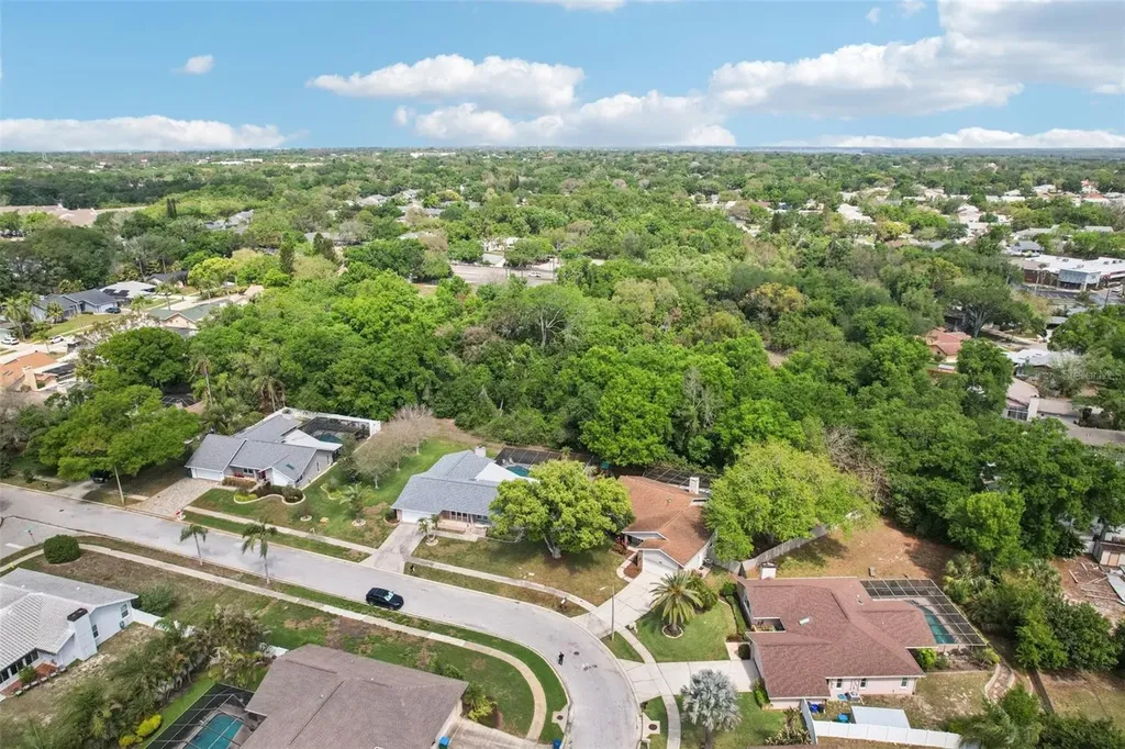 3109 Lake Valencia Ln E Palm Harbor FL 34684