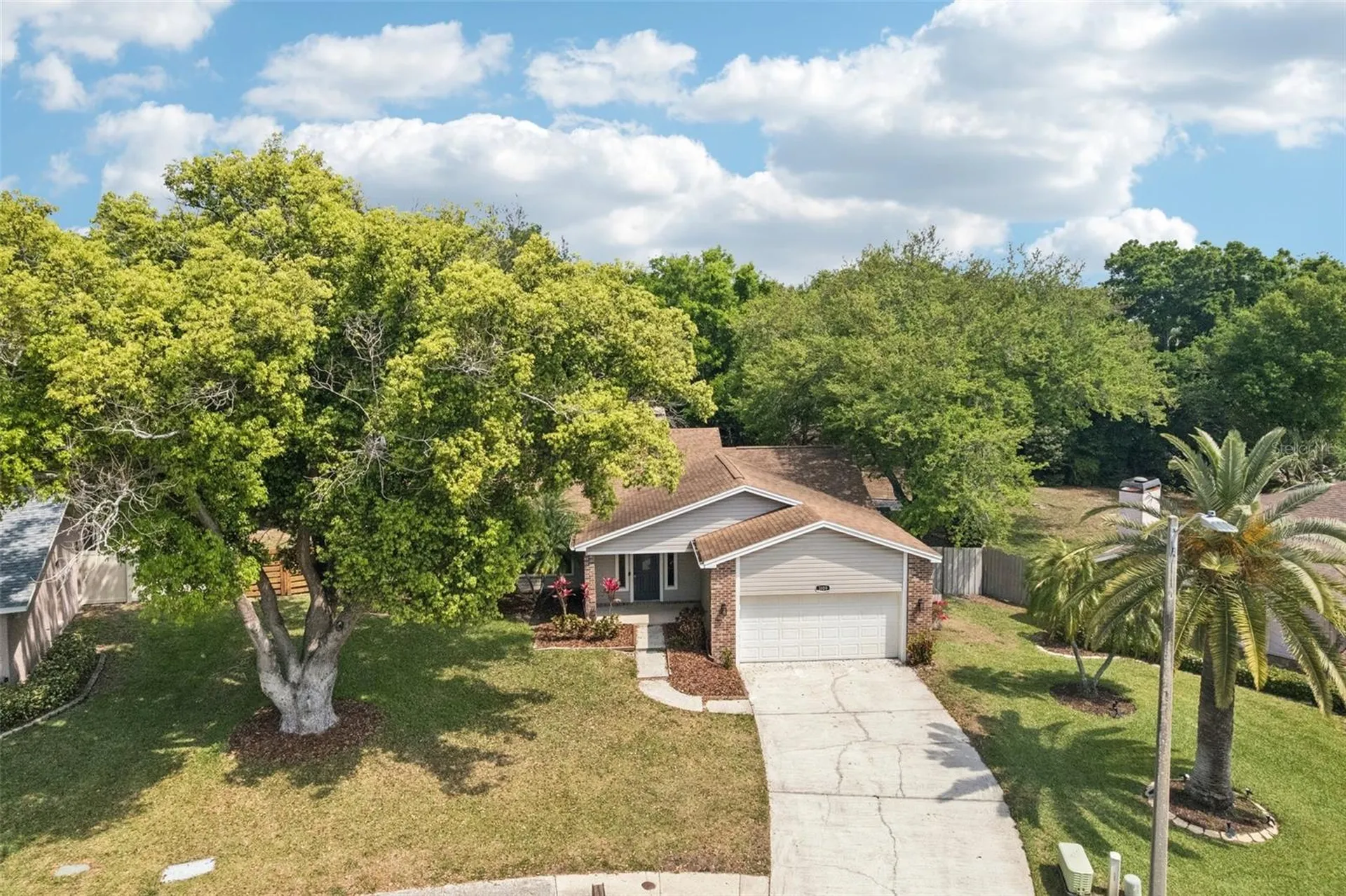 3109 Lake Valencia Ln E Palm Harbor FL 34684