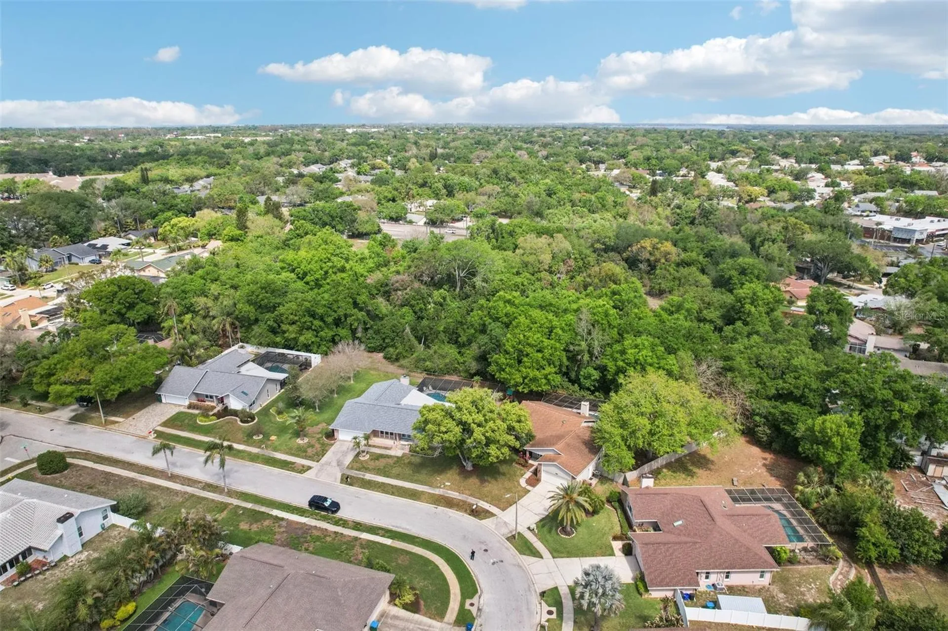 3109 Lake Valencia Ln E Palm Harbor FL 34684