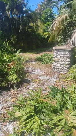 498 Bayview Drive NE St Petersburg FL 33704