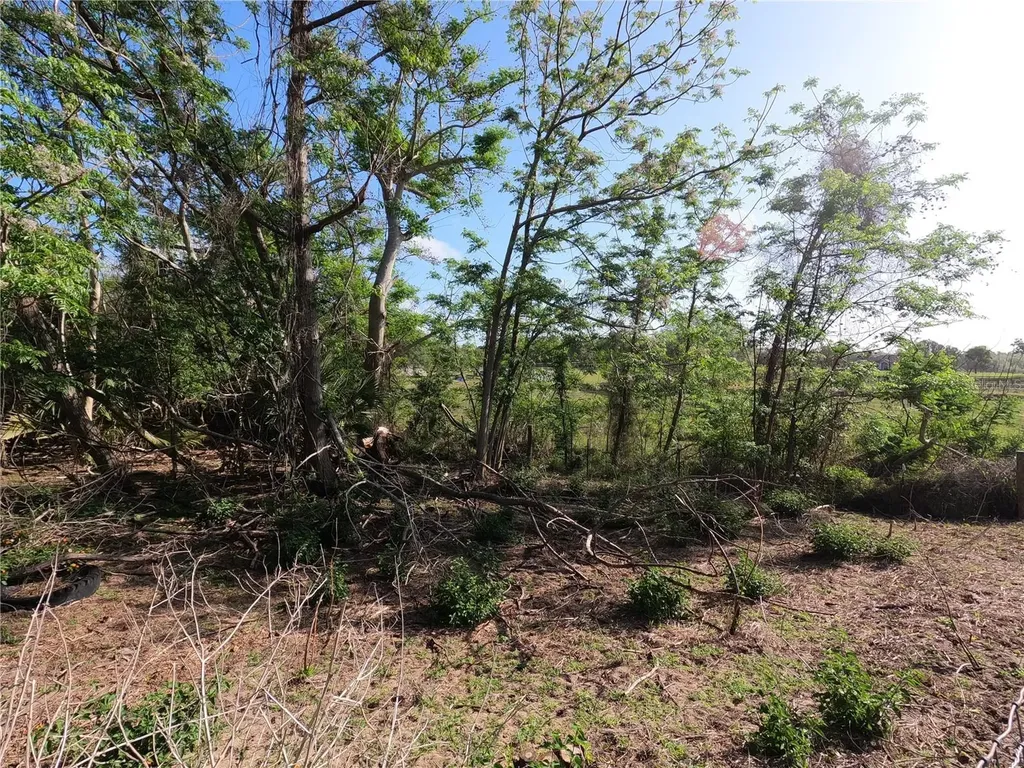 0 Earth Star Lane Groveland FL 34736