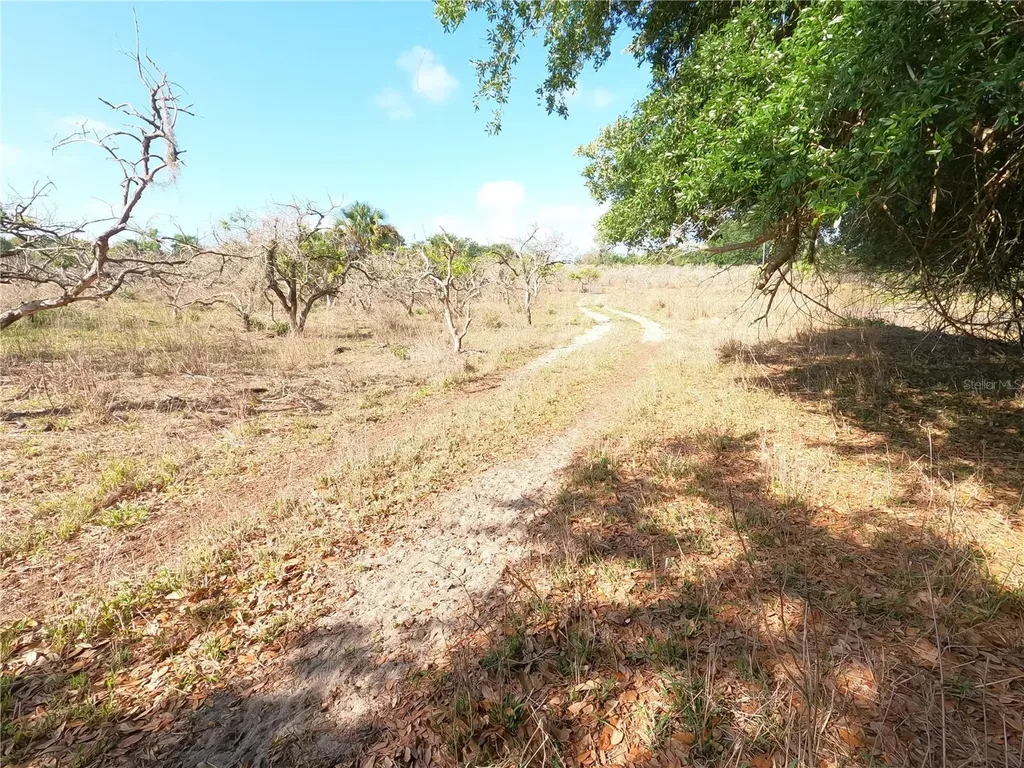 0 Earth Star Lane Groveland FL 34736