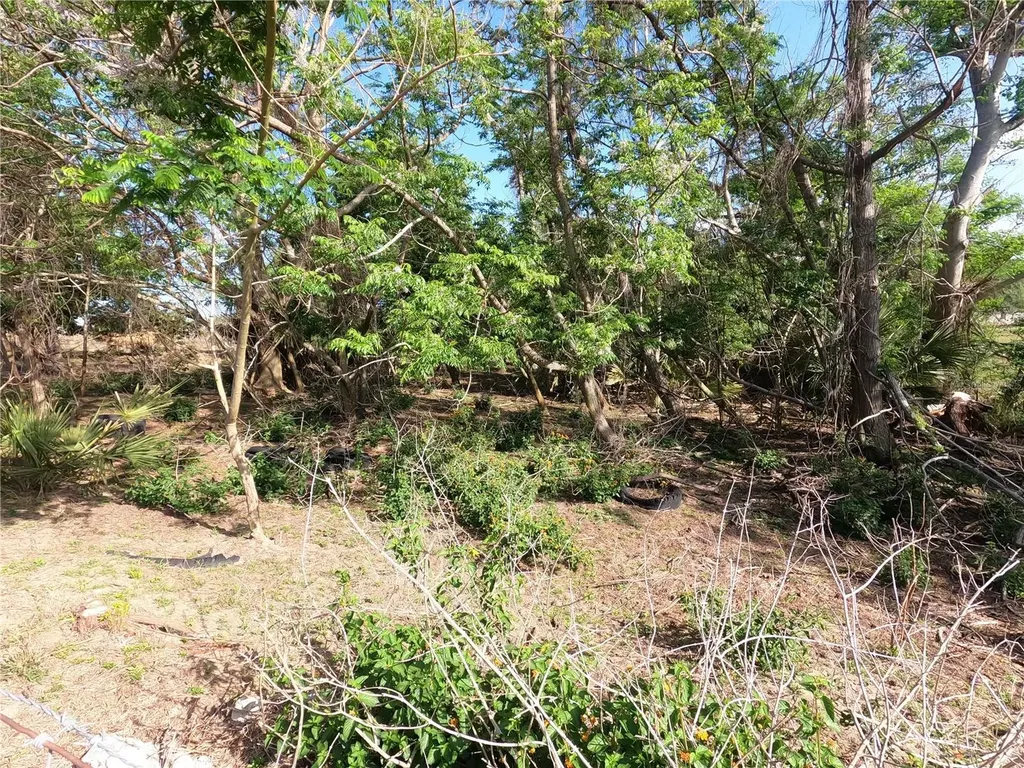 0 Earth Star Lane Groveland FL 34736