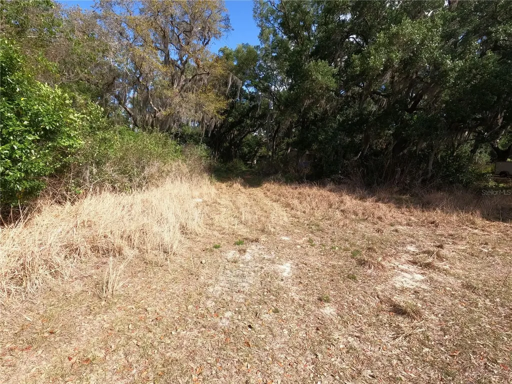 0 Earth Star Lane Groveland FL 34736