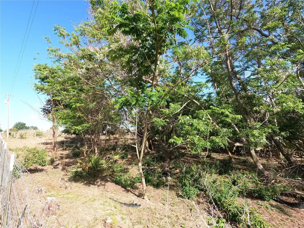 0 Earth Star Lane Groveland FL 34736