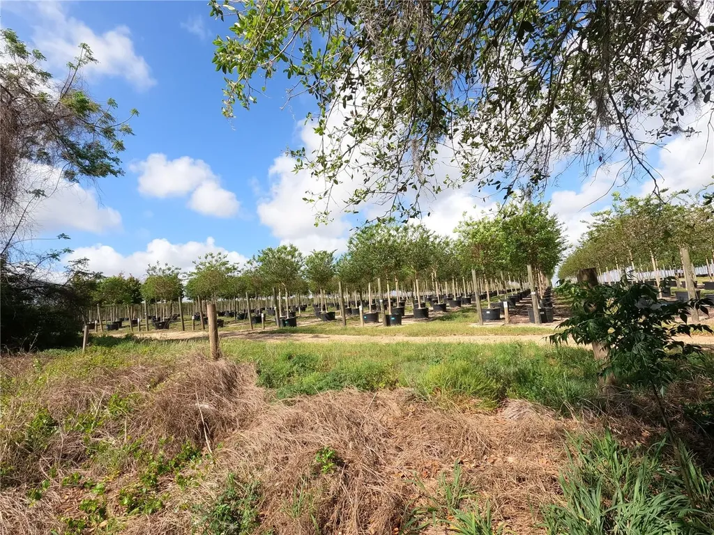 0 Earth Star Lane Groveland FL 34736