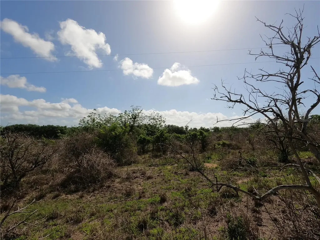 0 Earth Star Lane Groveland FL 34736