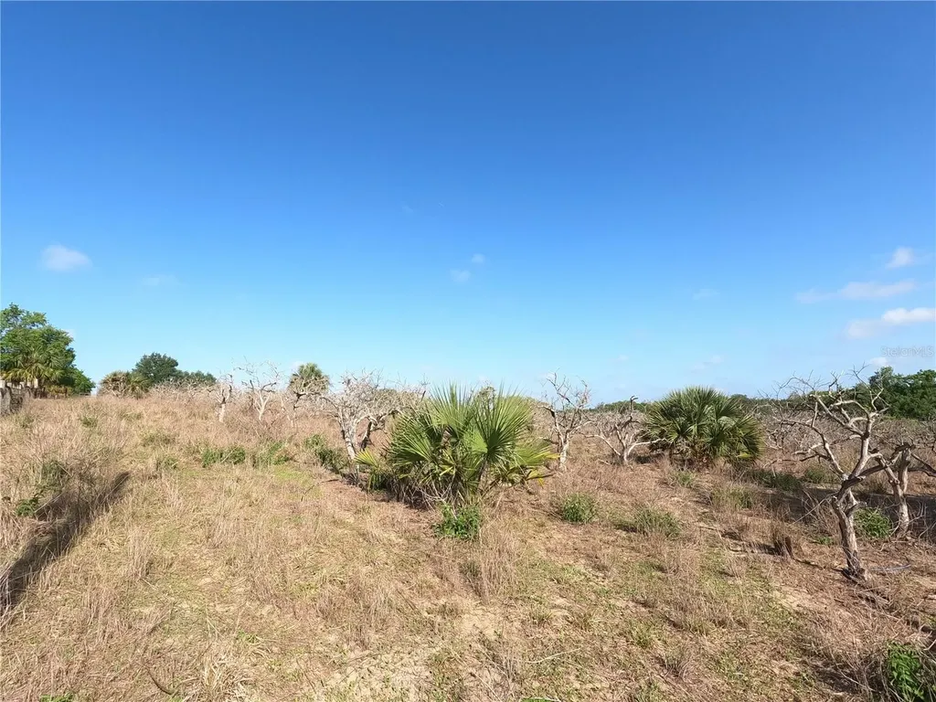 0 Earth Star Lane Groveland FL 34736