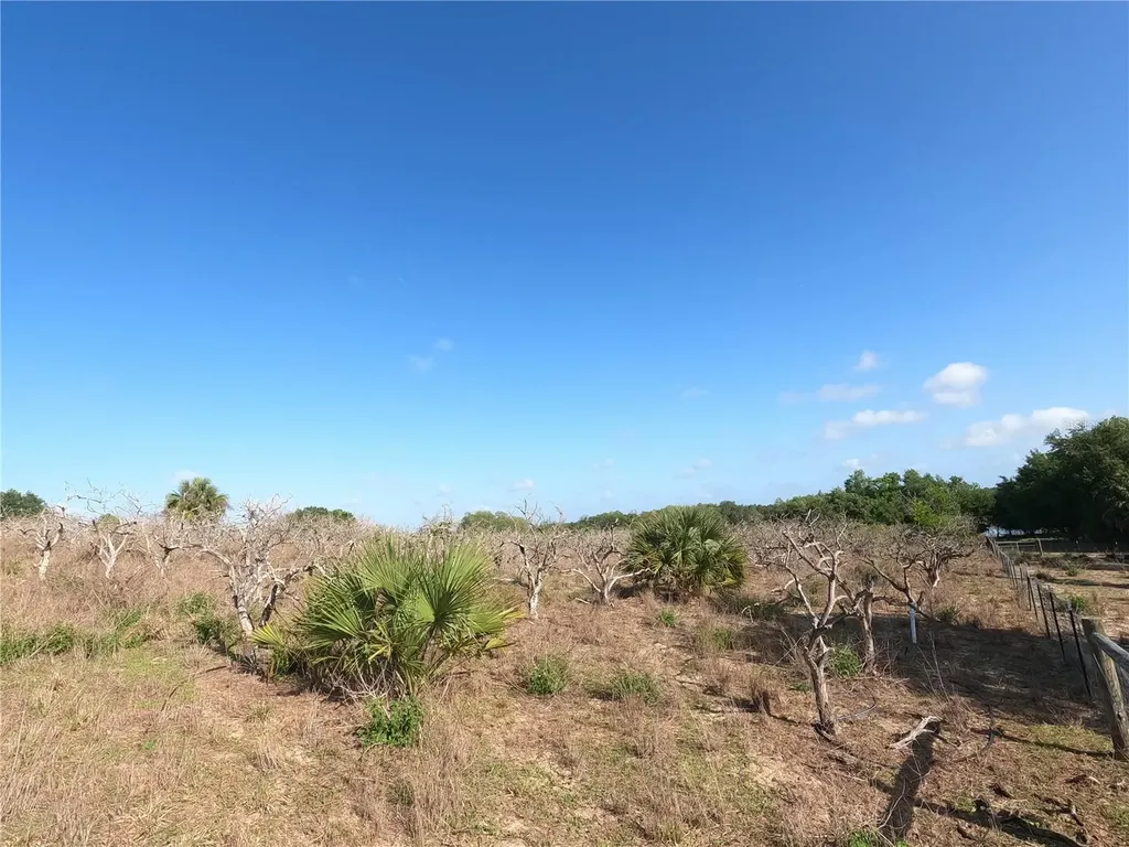 0 Earth Star Lane Groveland FL 34736