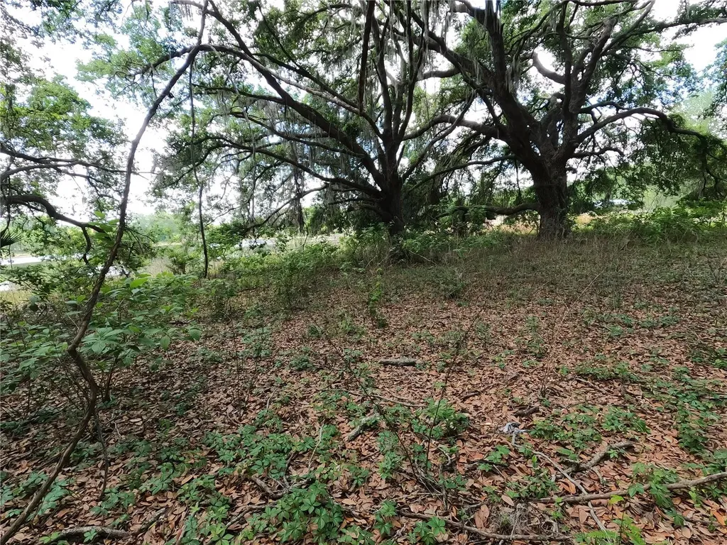 0 Earth Star Lane Groveland FL 34736