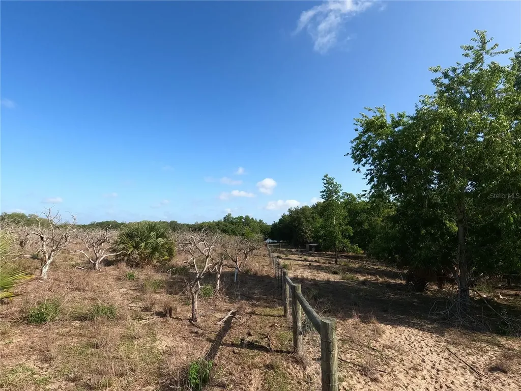 0 Earth Star Lane Groveland FL 34736