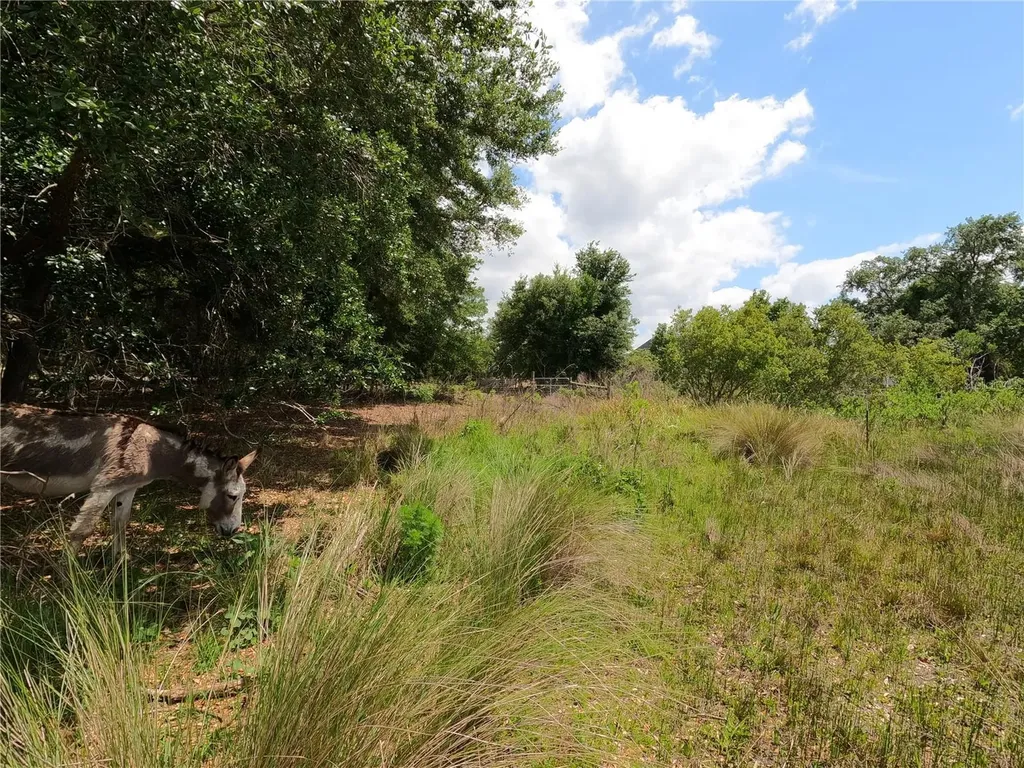0 Earth Star Lane Groveland FL 34736