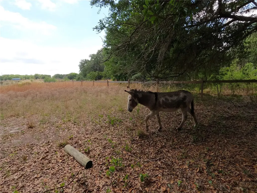 0 Earth Star Lane Groveland FL 34736