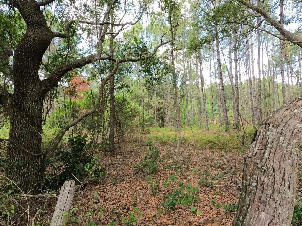 0 Earth Star Lane Groveland FL 34736
