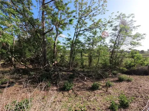 0 Earth Star Lane Groveland FL 34736