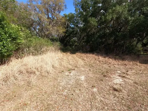 0 Earth Star Lane Groveland FL 34736