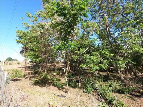 0 Earth Star Lane Groveland FL 34736