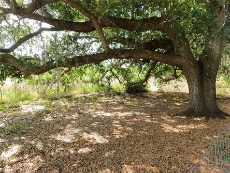 0 Earth Star Lane Groveland FL 34736
