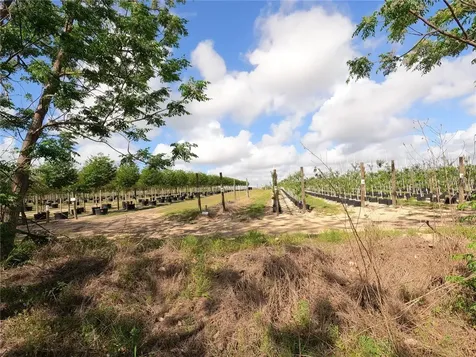 0 Earth Star Lane Groveland FL 34736