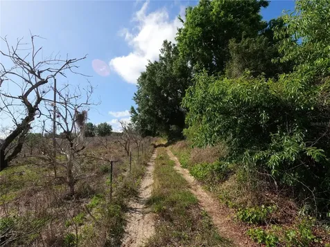 0 Earth Star Lane Groveland FL 34736