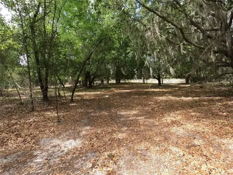 0 Earth Star Lane Groveland FL 34736