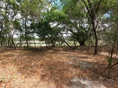0 Earth Star Lane Groveland FL 34736