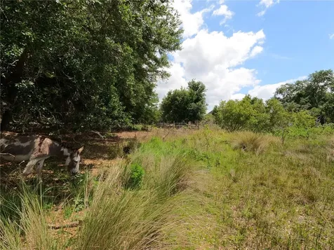 0 Earth Star Lane Groveland FL 34736