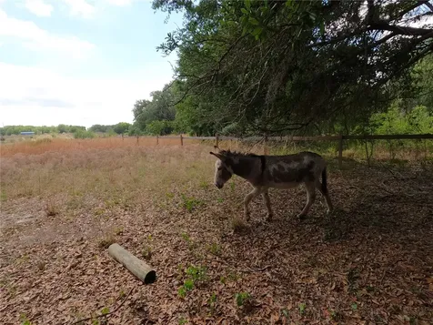 0 Earth Star Lane Groveland FL 34736