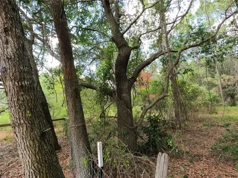 0 Earth Star Lane Groveland FL 34736