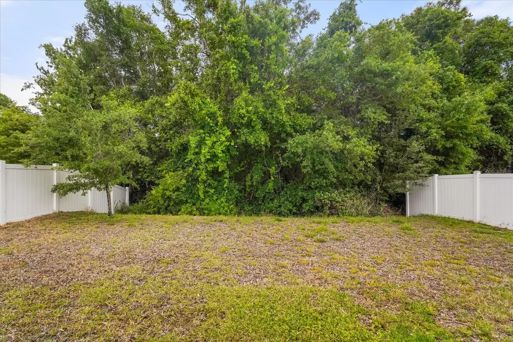 357 Siesta Vista Court Davenport FL 33896