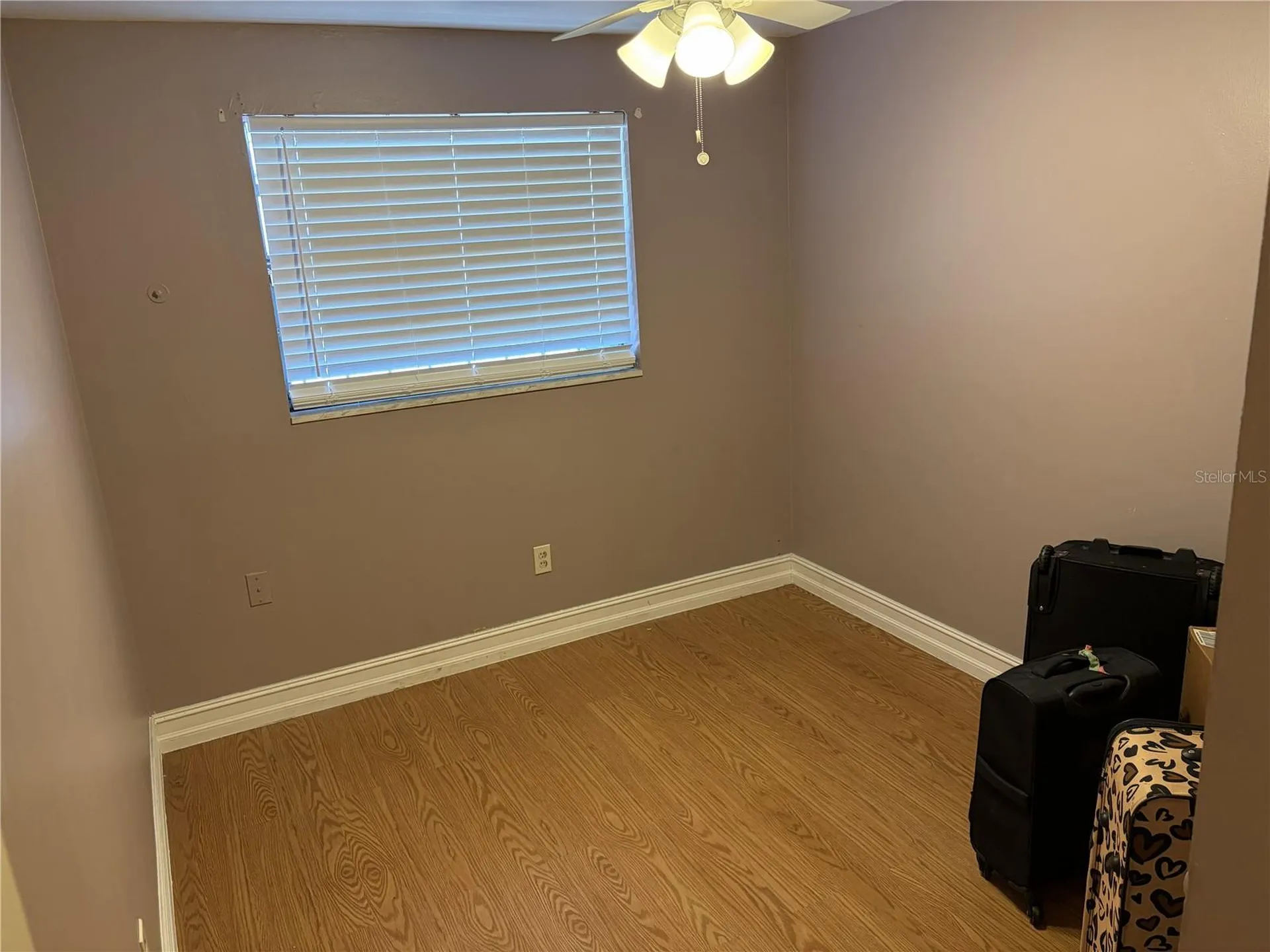 4802 E Curtis Street Tampa FL 33610