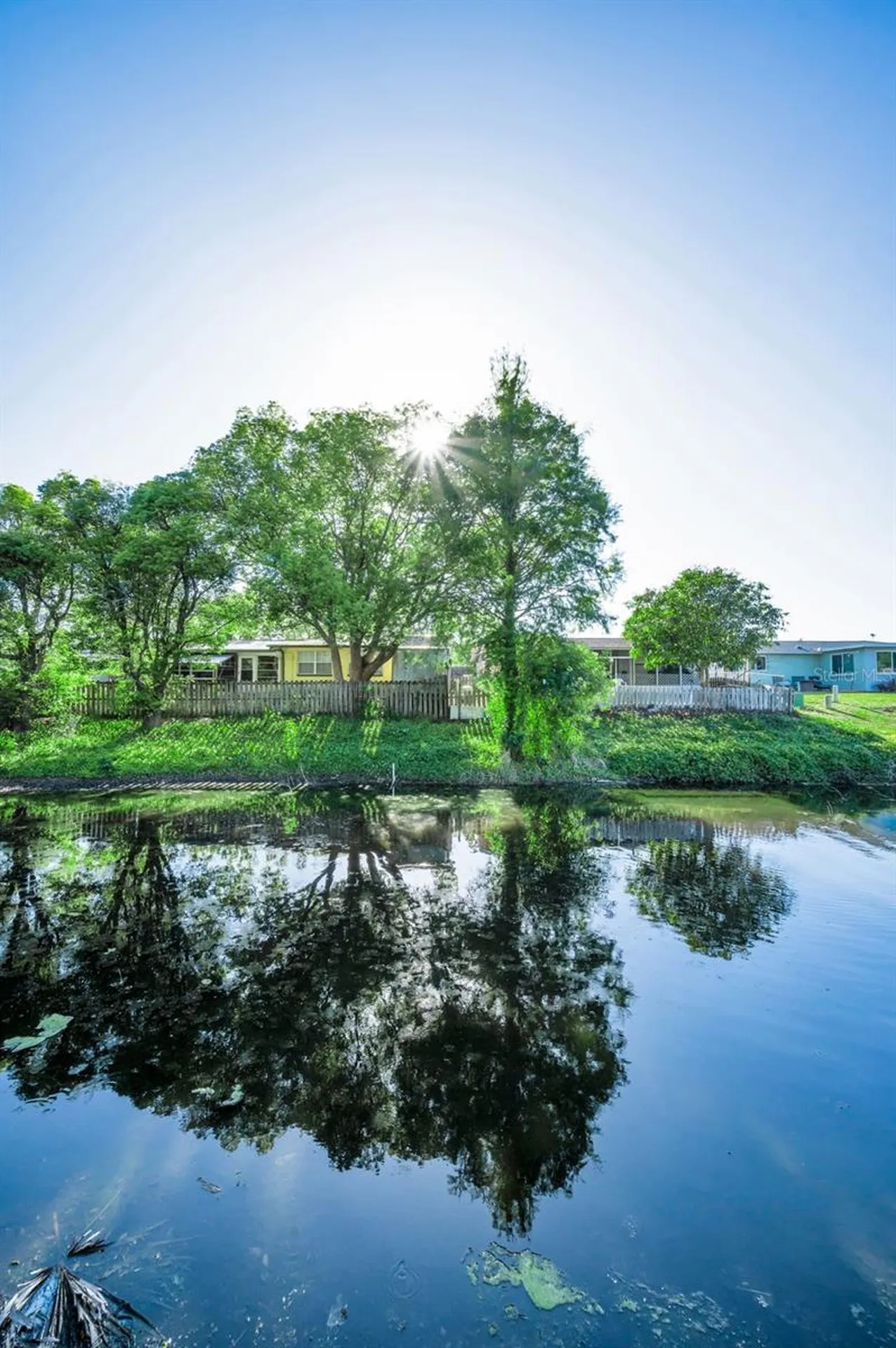 3011 Shadow Oaks Drive Holiday FL 34690