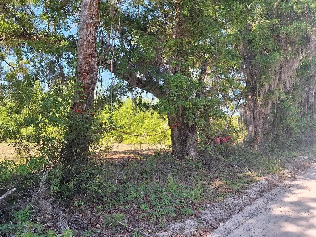 Tbd 000 NE 998th Avenue Branford FL 32008