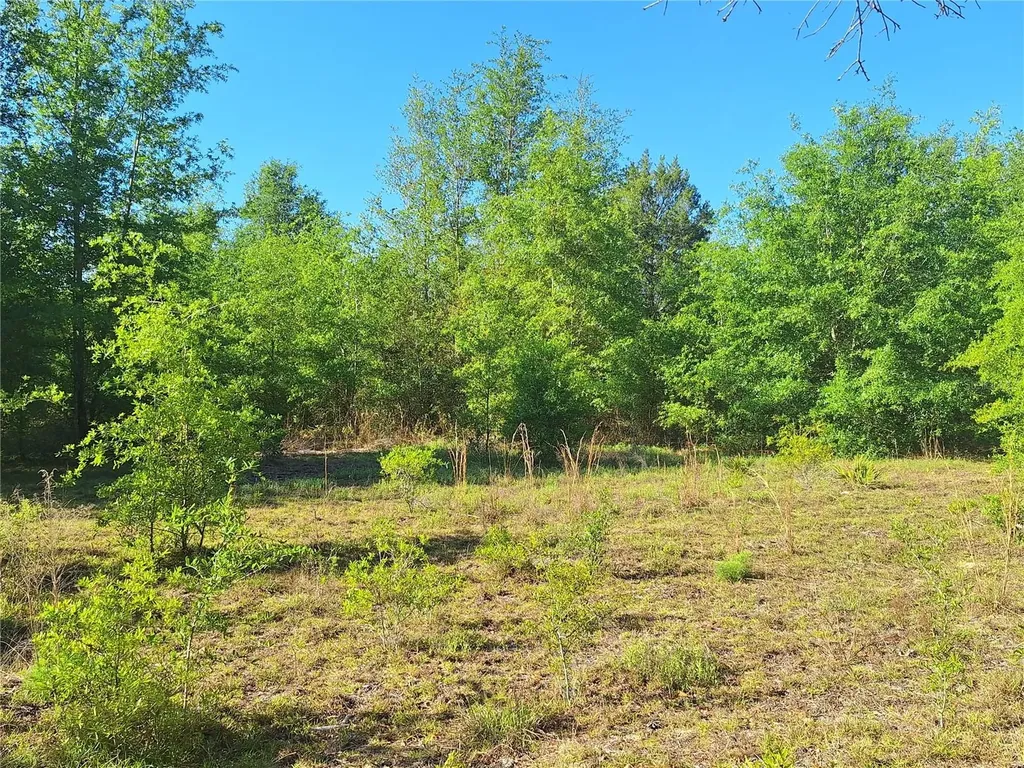 Tbd 000 NE 998th Avenue Branford FL 32008