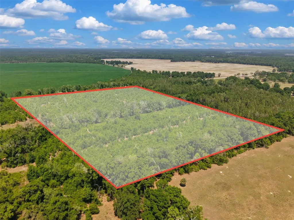 Tbd 000 NE 998th Avenue Branford FL 32008