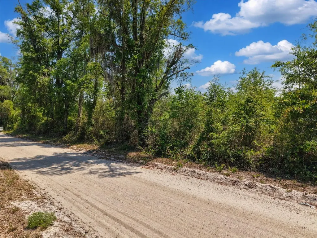 Tbd 000 NE 998th Avenue Branford FL 32008