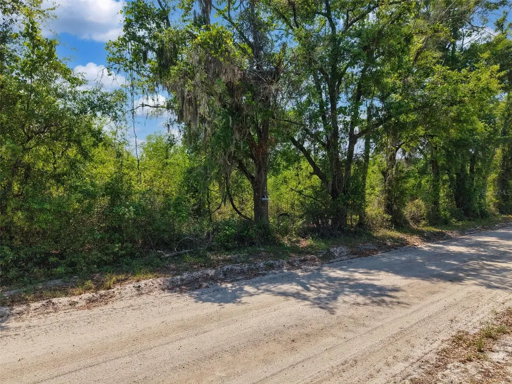 Tbd 000 NE 998th Avenue Branford FL 32008