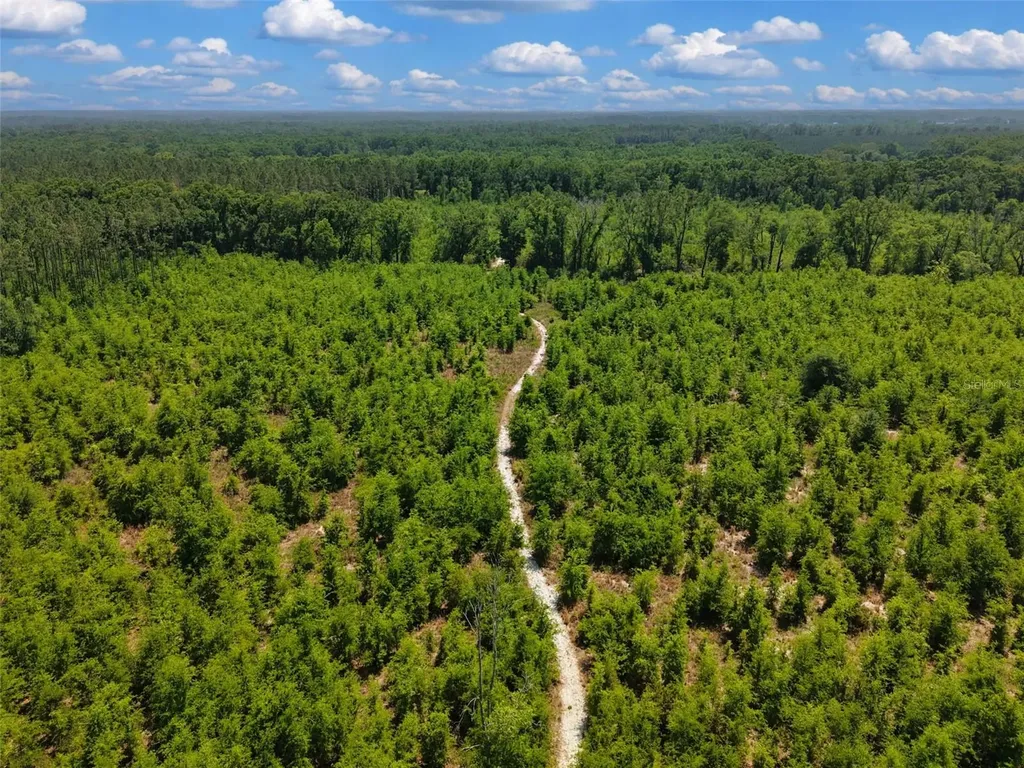 Tbd 000 NE 998th Avenue Branford FL 32008